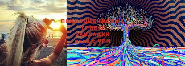 тгк Волосово